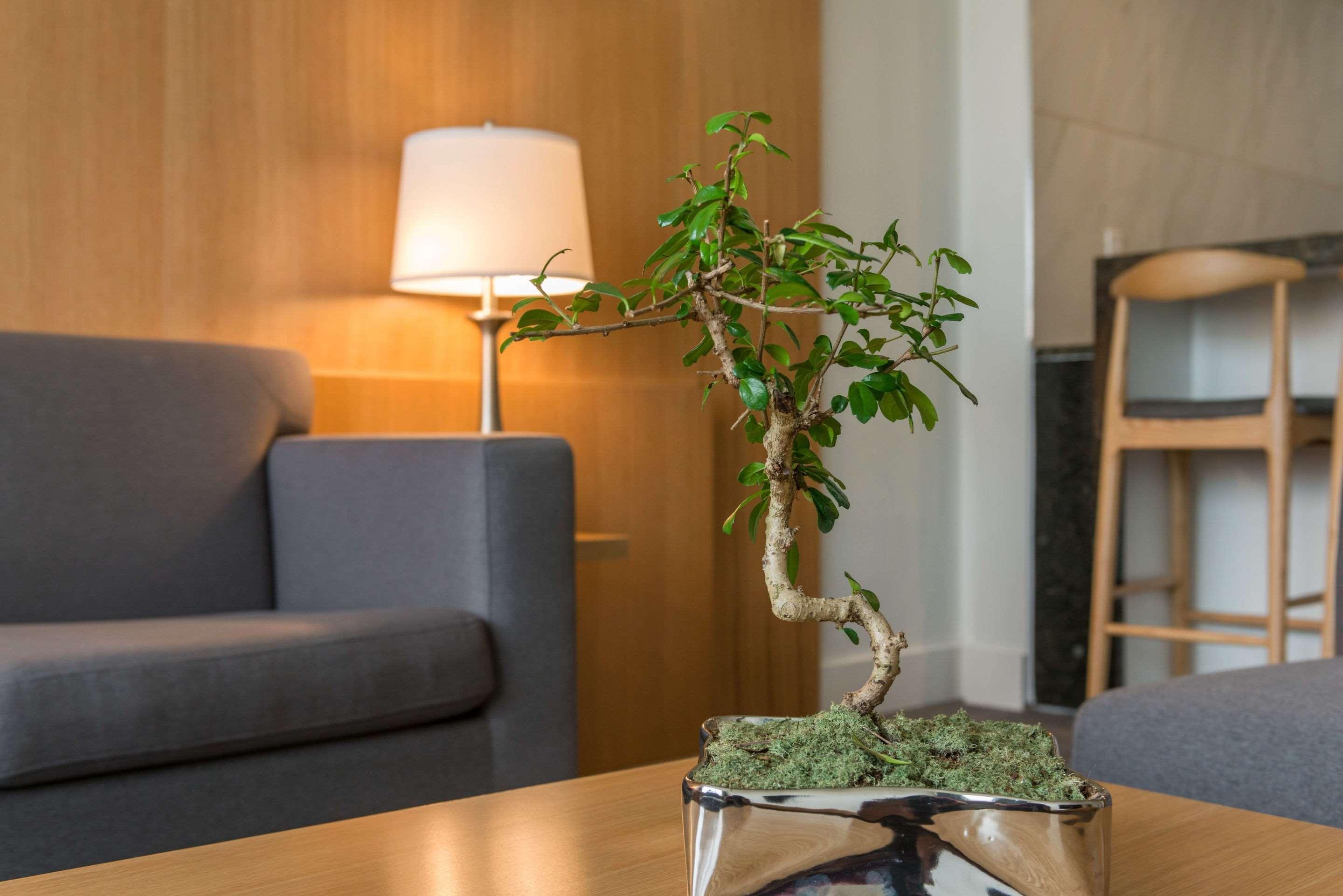 The West Wing Boutique Hotel Tampa Dış mekan fotoğraf